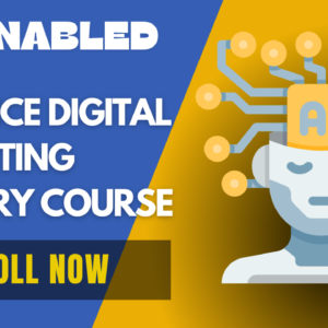 skillnagri digital marketing course